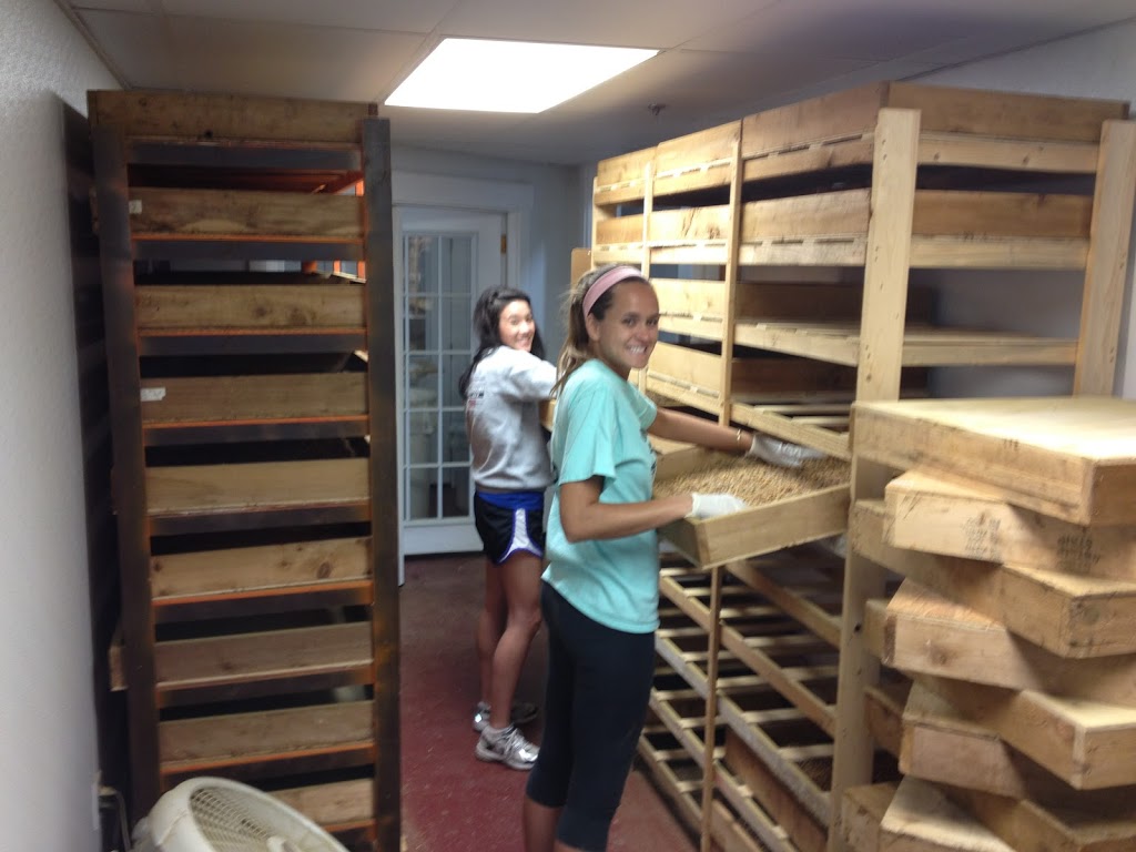 Interns Make Soy Sauce