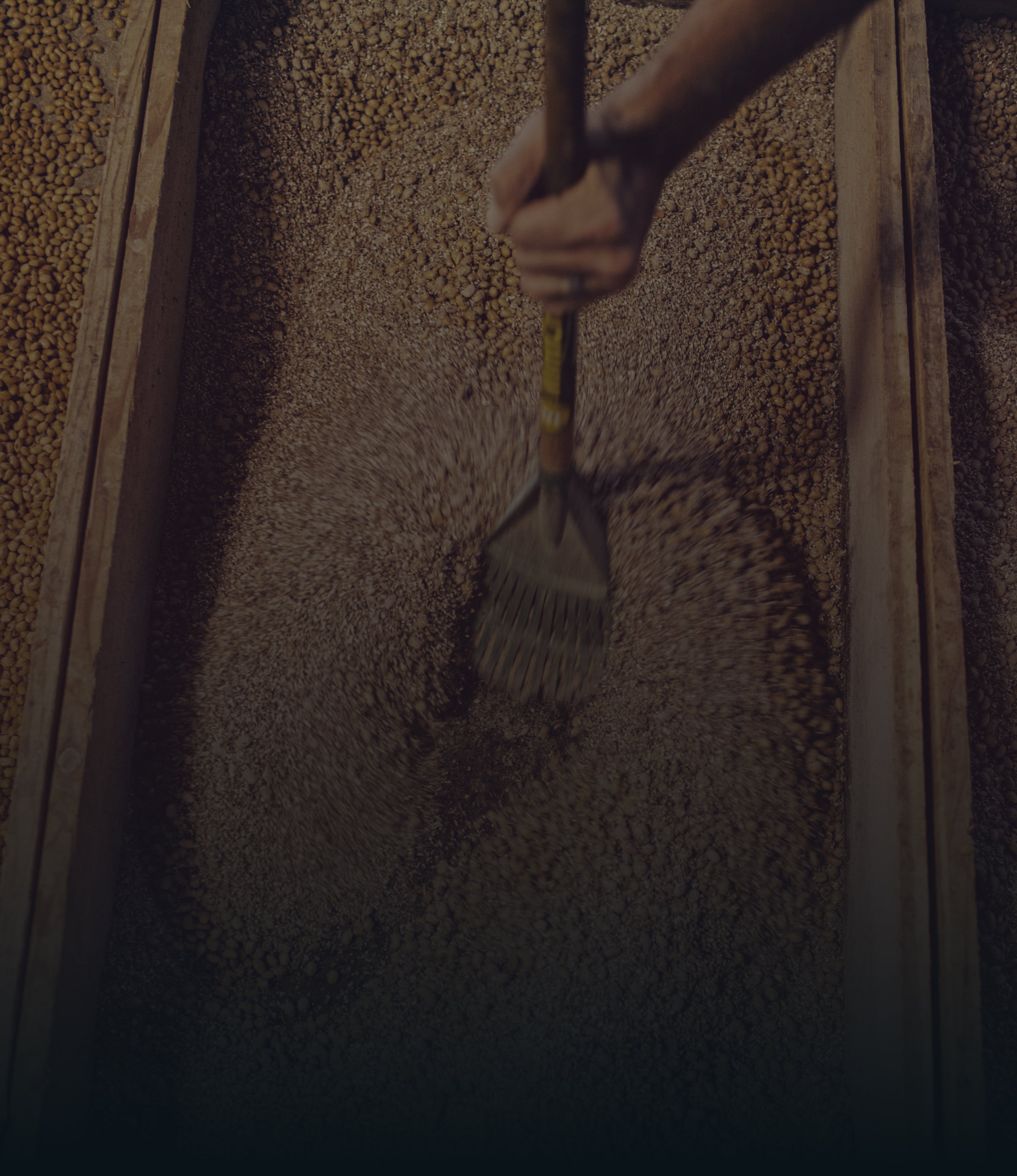 A person using a tool to stir or spread grains in a wooden tray, focusing on the process of grain handling.