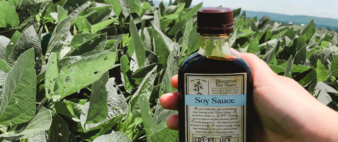 A bottle of soy sauce stands out in a vibrant field of green beans, showcasing a blend of flavors and nature.