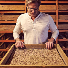 Matt Jamie inspecting the koji mixture as it ferments in a wooden frame