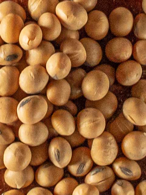 Ingredient image description