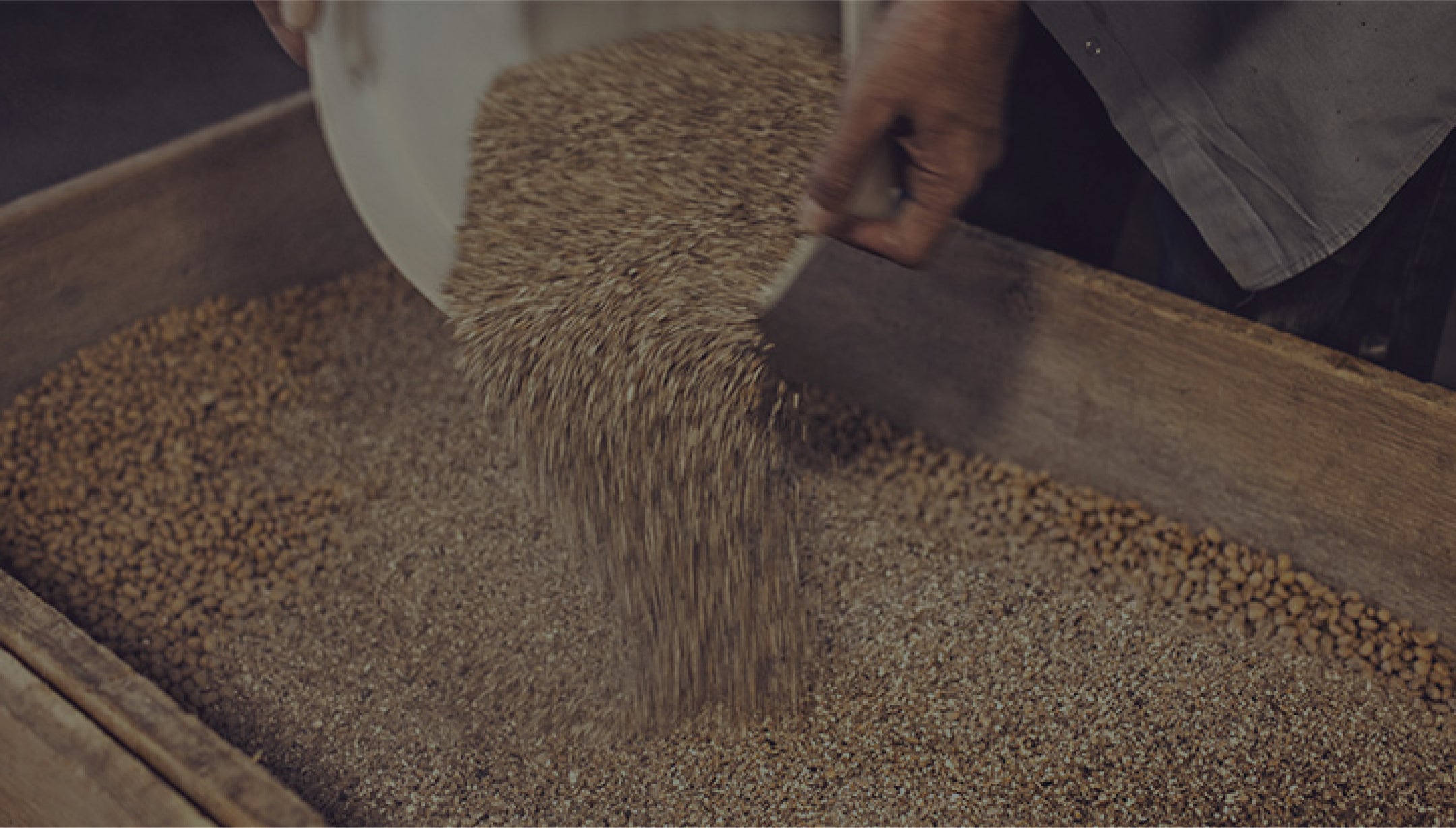 A close-up of a person pouring grains or seeds from a white container into a wooden tray, showcasing a production process.